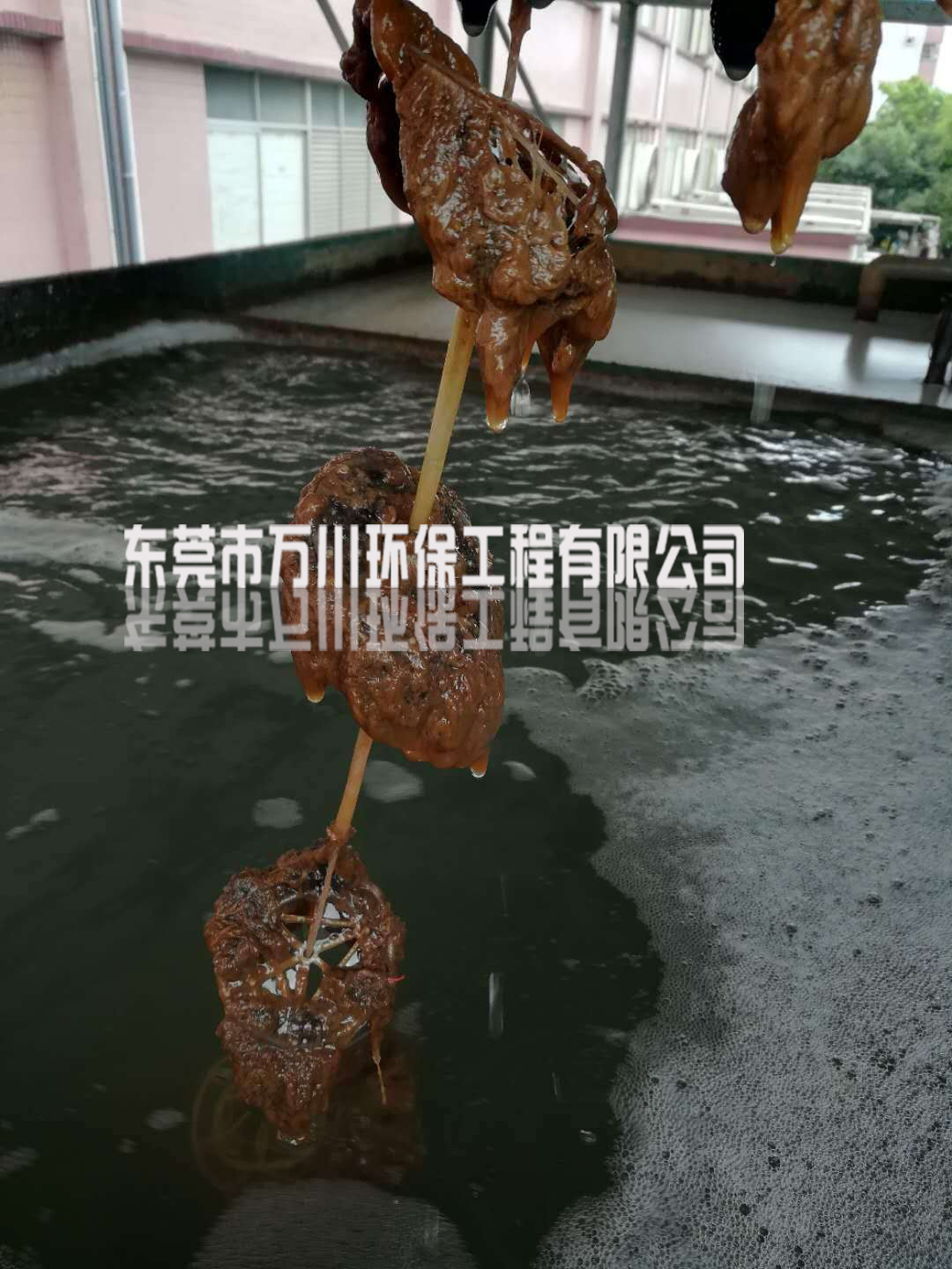 飲料廠廢水處理設(shè)備